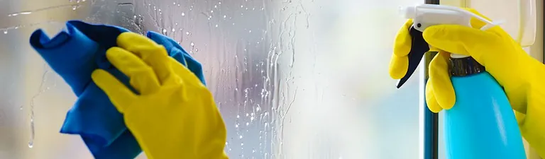 Fensterreinigung